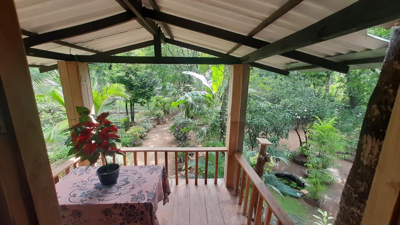 Ruk Sewana Villa Tree House Сігірія Екстер'єр фото