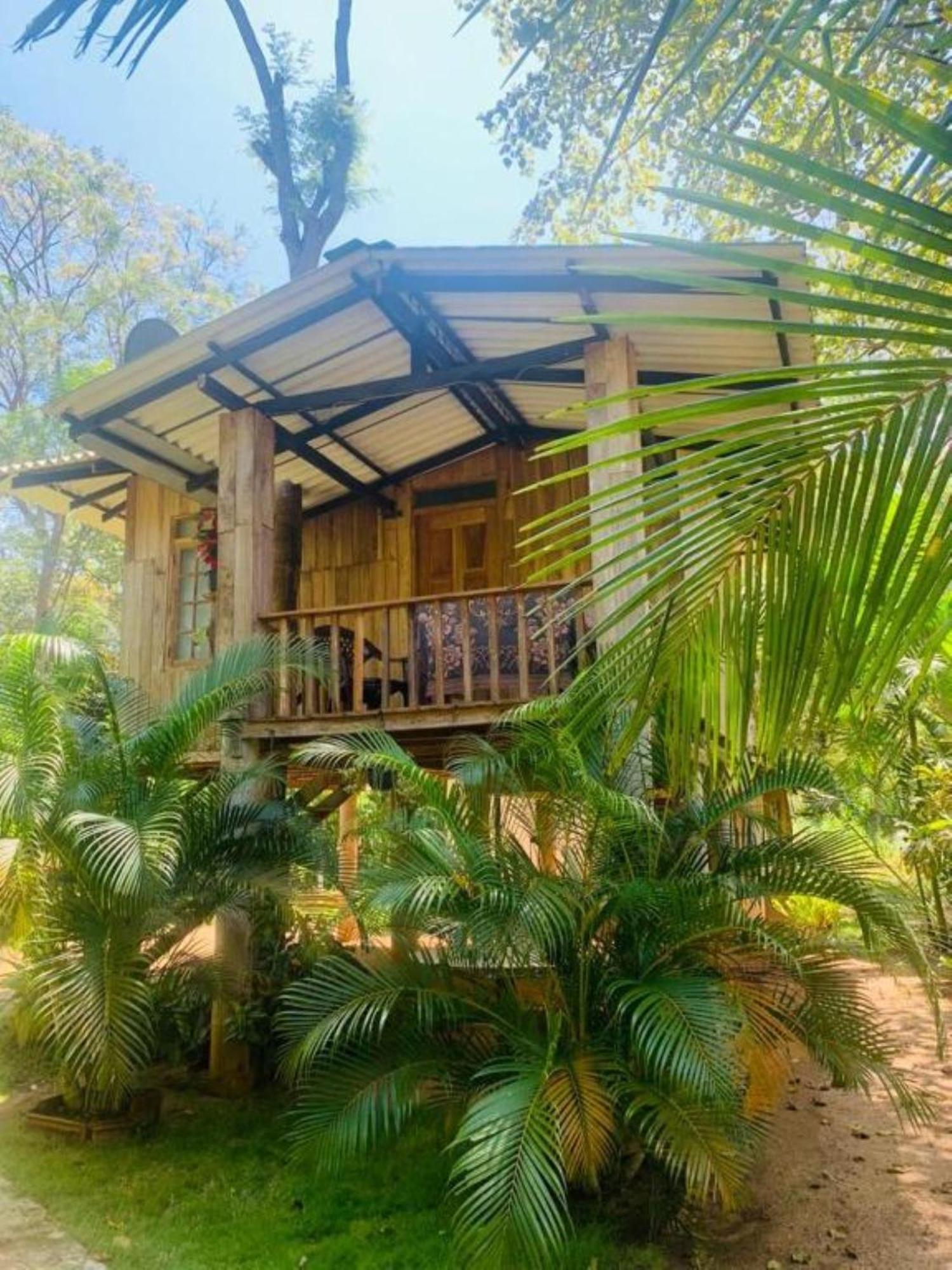 Ruk Sewana Villa Tree House Сігірія Екстер'єр фото